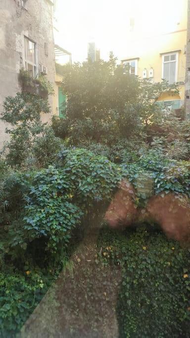 109c Mezzocannone Charming Flat *